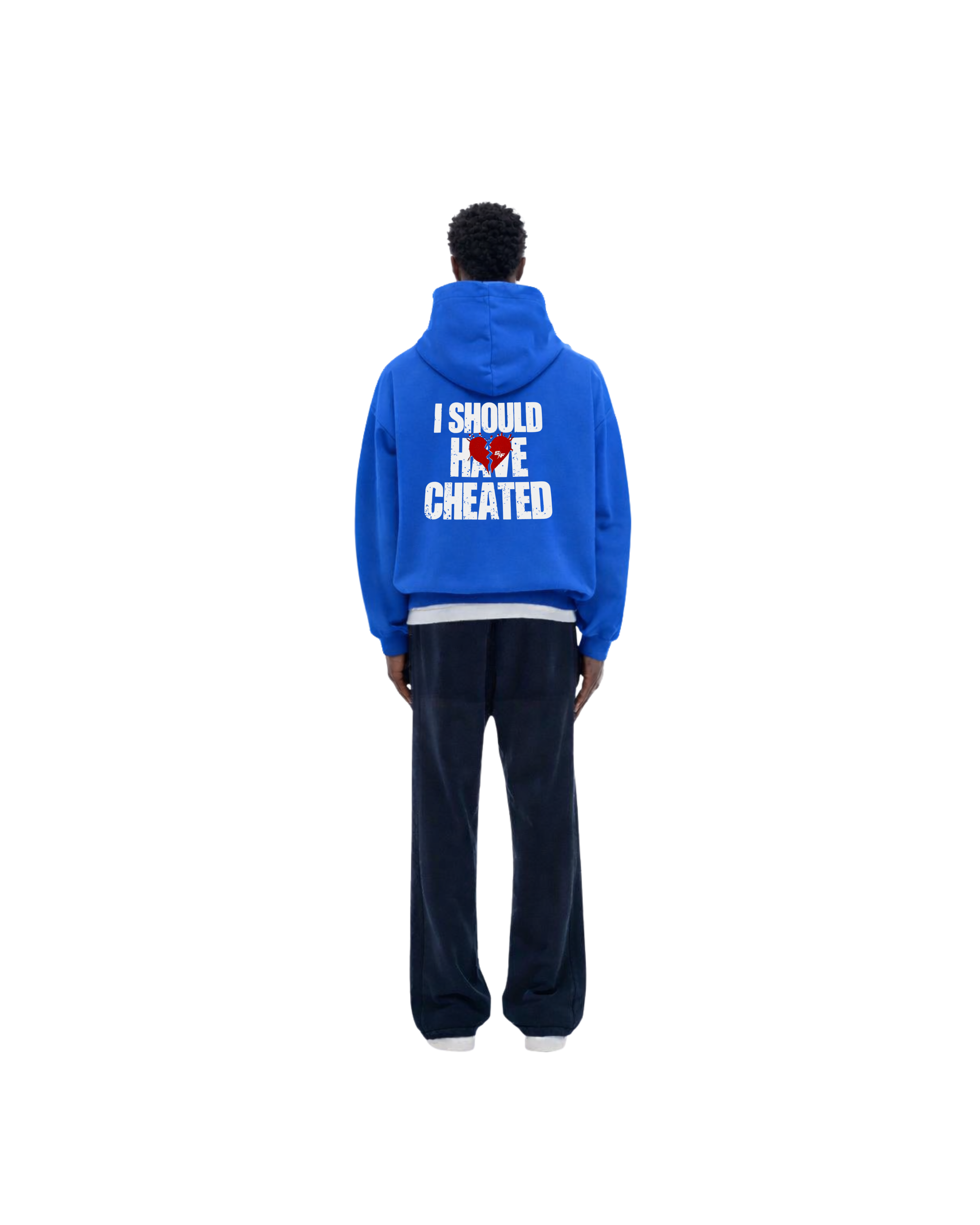 I SHOULD HAVE Cheated Hoodie